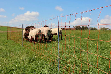 Ako products sheep netting Ovinet Premium orange 90cm x 50m single spike