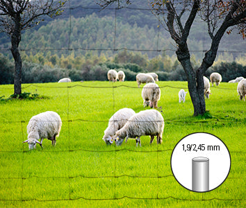 Giardino producten schapengaas licht 148 18 15 x 50m