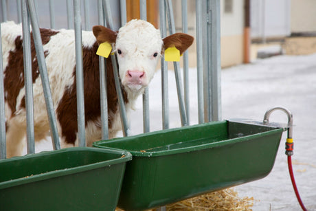 Products hanging drinking trough plastic 100cm with float