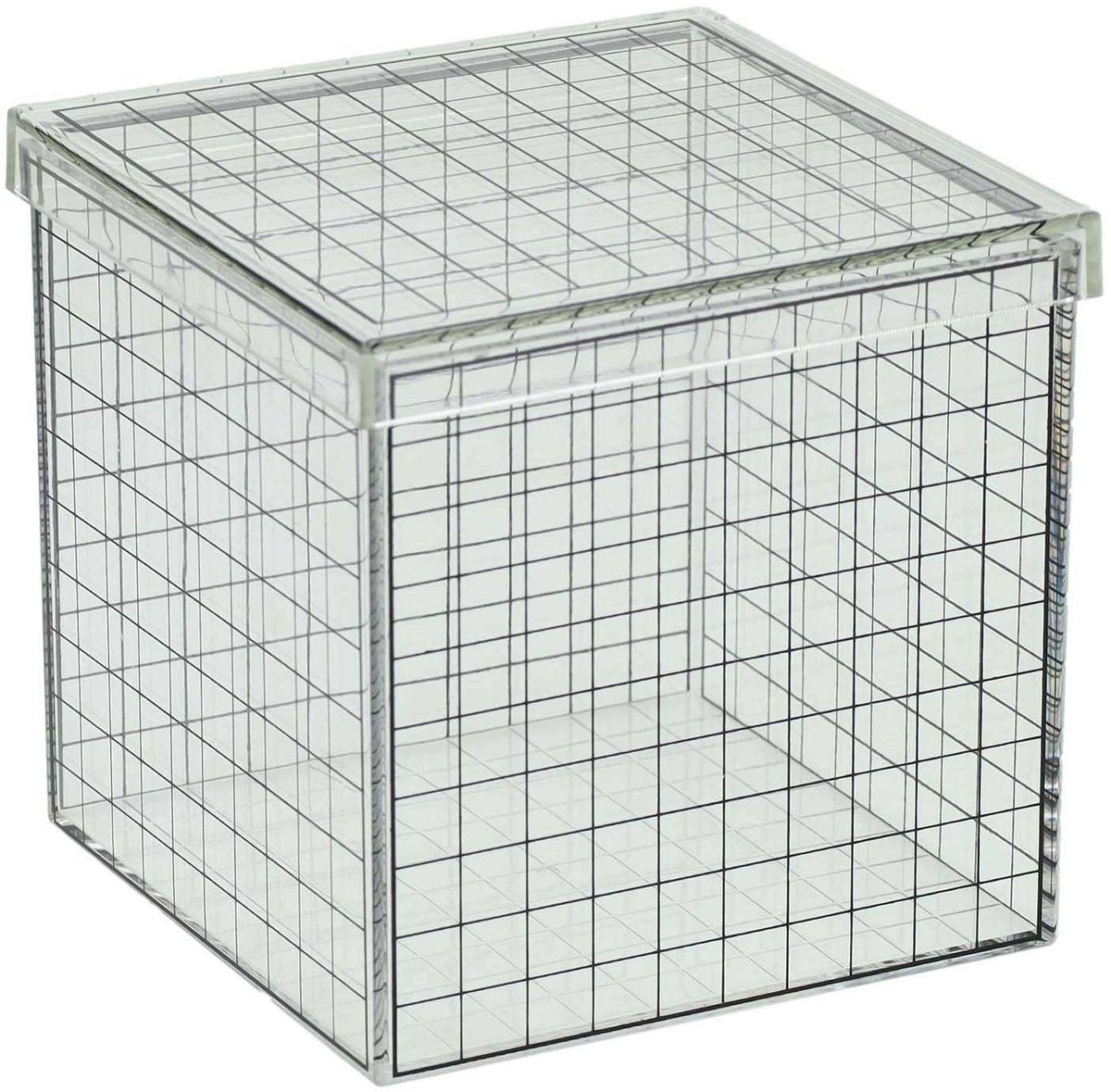 Albatros fishing transparent 3D grid cube - 10x10x10 cm