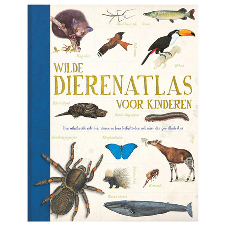 Rebo publishers wild animal atlas for children. 6+