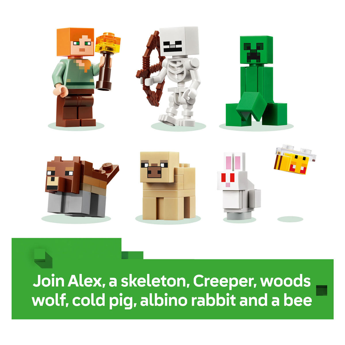 Lego Minecraft 21593 The First Night Adventure
