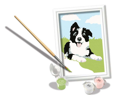 Ravensburger Creart Paint by Number Border Collie