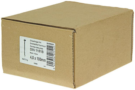 1015652 - box 5 kg. nails flat head 4.0x100 mm | 2 pieces