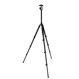 Tripé Nest wf-6627 + cabeça esférica