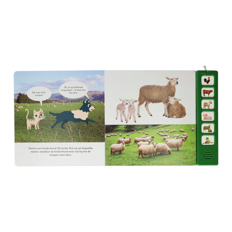 Mondi cards listen to farm animals sounds book