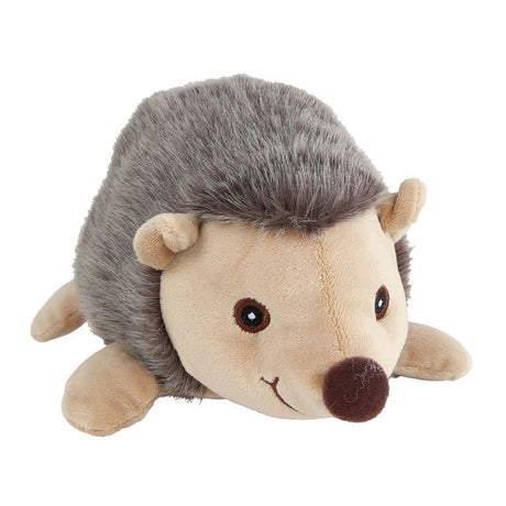 Take me home pluchen egel - 20cm
