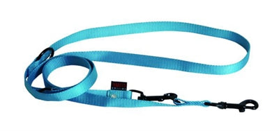 Martin dog leash multipurpose nylon turquoise