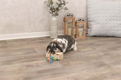 Trixie Cubo de madeira para lanche