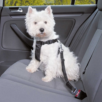 Trixie Car Dog Harness with Seat Belt, Black