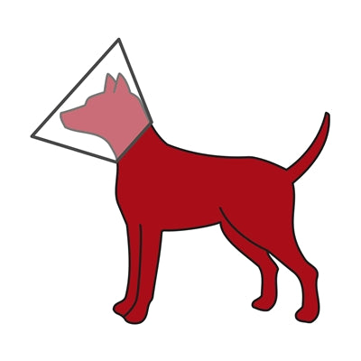 Trixie protective collar with hook-and-loop fastener plastic transparent