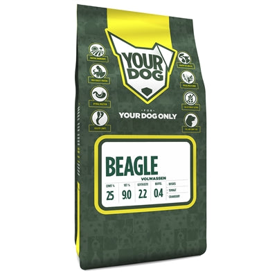 Yourdog Beagle adult
