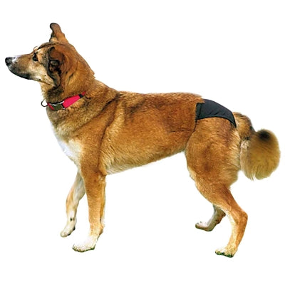 Trixie Black Heat Pants