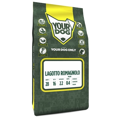 Yourdog Lagotto romagnolo puppy