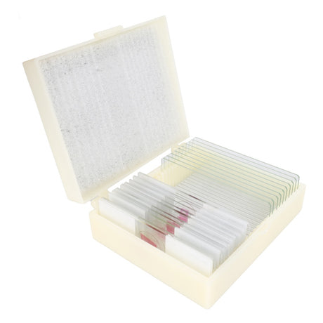 Konus Prepared Slides Set Life in Soil (10 pieces)