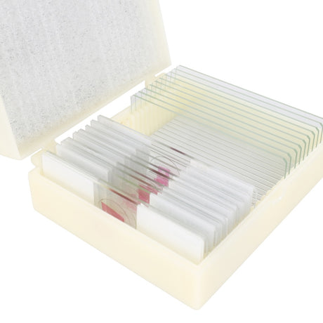 Konus Prepared Human Body Set (25 Pieces)