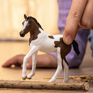 Schleich | 5 pieces