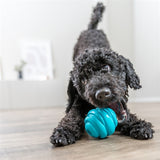 Trixie ball super strong TPR petrol