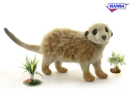 Meerkat standing 32 cm