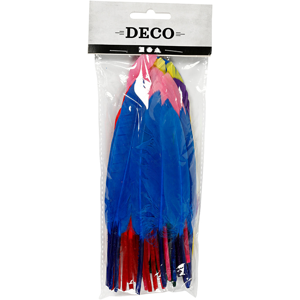 Creativ company https: www.cchobby.nl feathers-l-13-cm-various-colors-48-piece-1-box