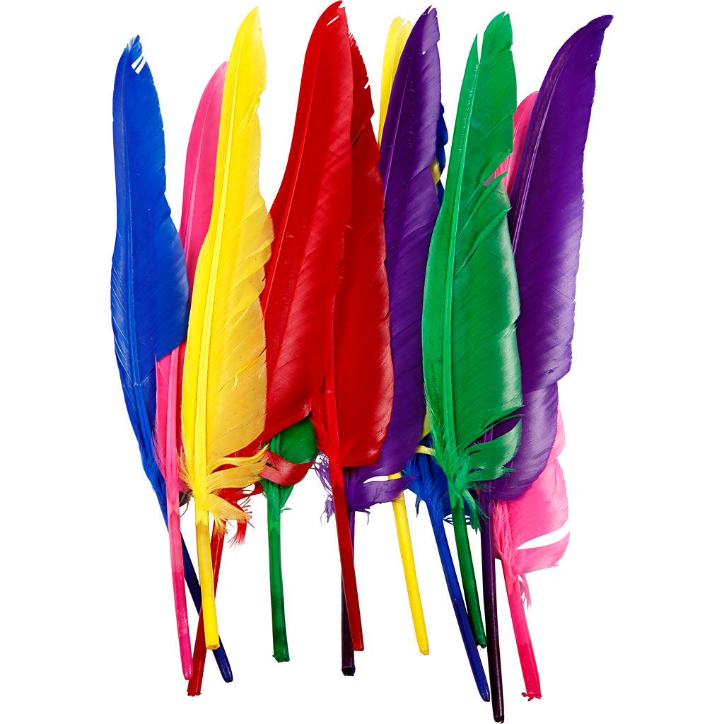 Creativ company https: www.cchobby.nl feathers-l-27-cm-various-colors-12-piece-1-box
