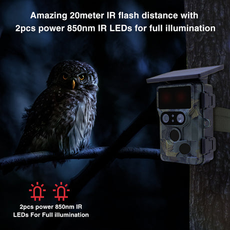 Stealth gear nightjar dual-cam solar 4k WiFi wildlife camera