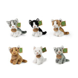 Plush cats assorted 14 cm environmentally friendly