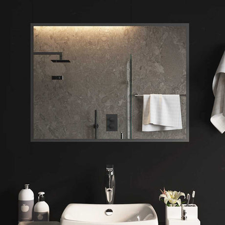 Miroir de salle de bain Vidaxx LED 80x60 cm