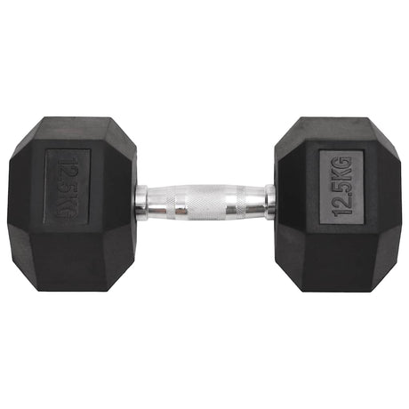 Vidaxl Dumbbells 2 pcs 25 kg total cast iron