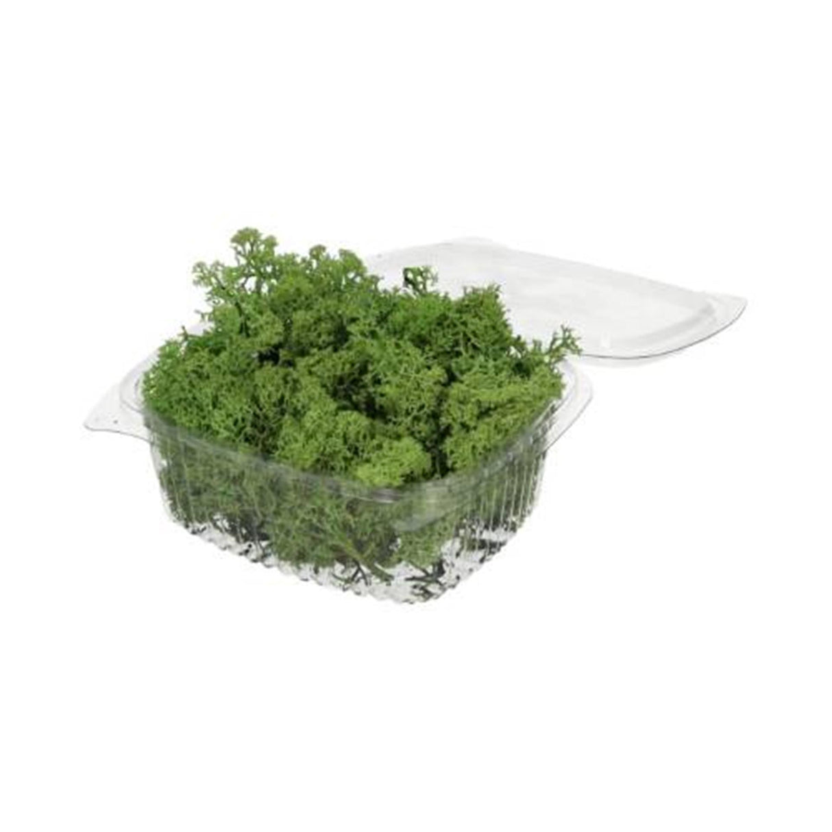 Hbx natural living reindeer moss 50gr green reindeer moss 50gr green
