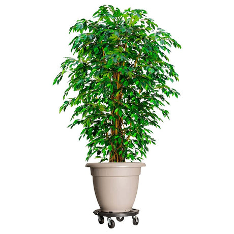 Vidaxl plantentrolleys met wielen 5 st 275 kg diameter 40 cm zwart