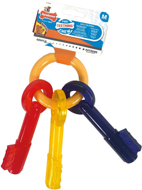 Flexi nylabone puppy chew bite keys bacon flavor