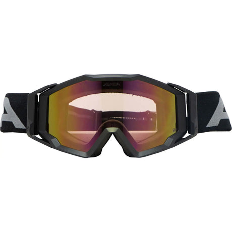 Alpina sports sports glasses circus q-lite matte black