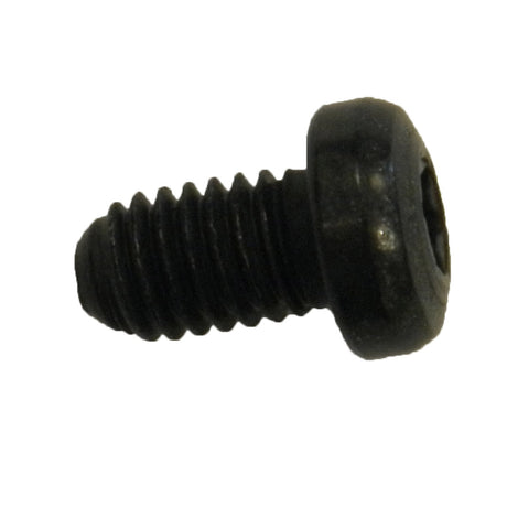 Magura filling screw m6 hs33 hs22 hs11 gustav m (10 pcs)