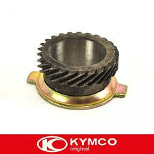 Kymco odometer worm djy