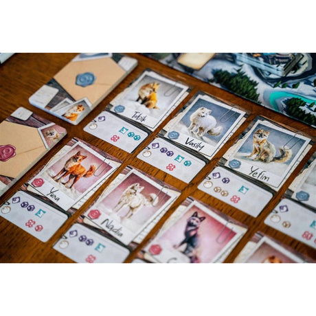 European player network the fox experiment board game (English, 1 - 4 players, 60 minutes, from 10 years)
