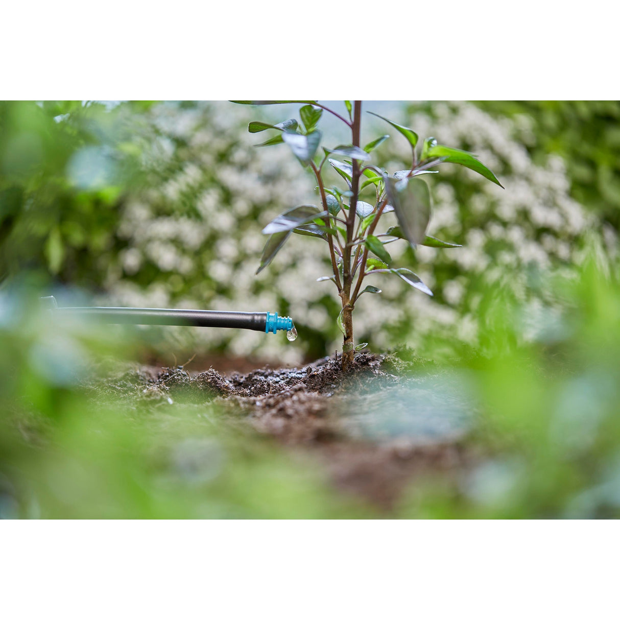 Gardena Endtropfer 2 l u Tropfer (türkis, 25 Stück)