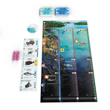 999games 999 games finspan board game (Dutch, 1 - 5 players, 60 minutes, from 10 years)